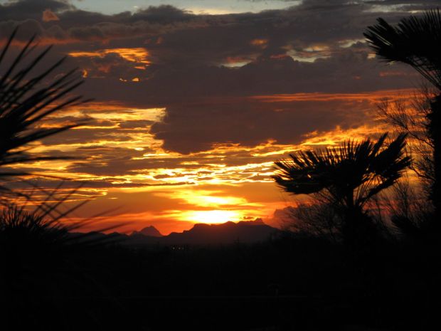 Reader photos: Tucson monsoon rain July 20, 2013